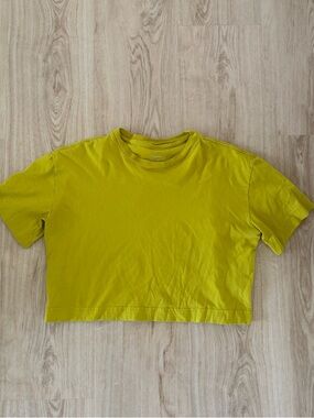 Everlane Cropped Tee Cotton Size Medium